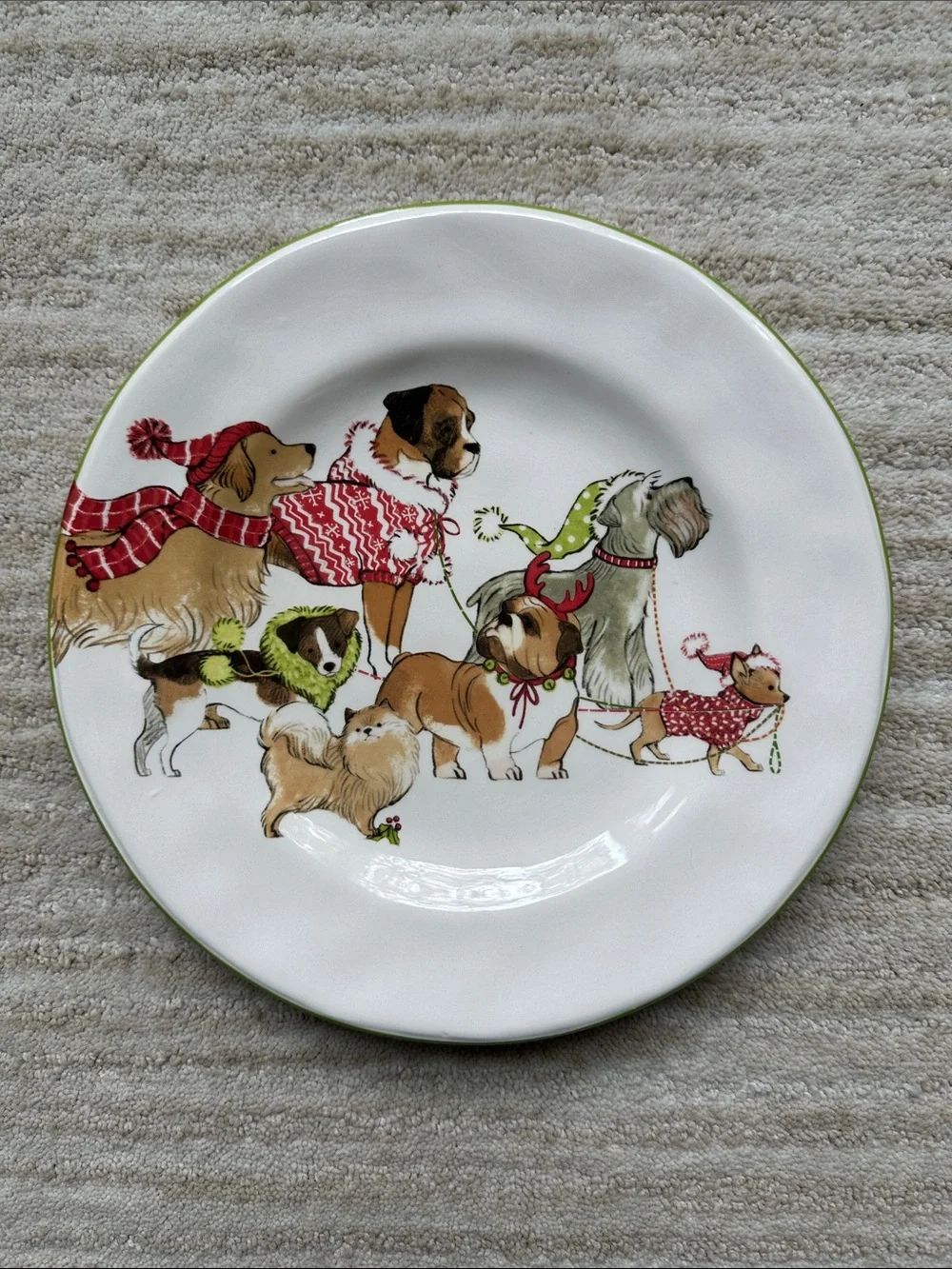 Set of 4 PIER 1 Park Avenue Holiday Puppies Salad Plates Ironstone 8 3/4”